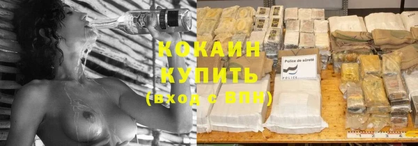 бошки Ельня