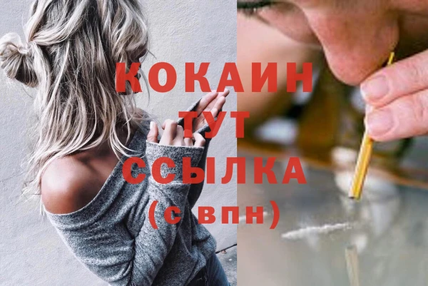 бошки Ельня
