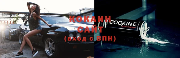 бошки Ельня