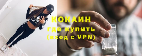бошки Ельня