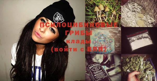 скорость Елизово