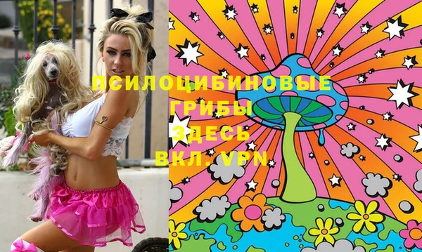 бошки Ельня