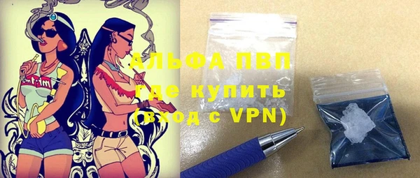 бошки Ельня