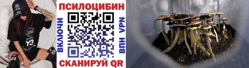 что такое   мориарти какой сайт  Псилоцибиновые грибы мухоморы  Исилькуль 
